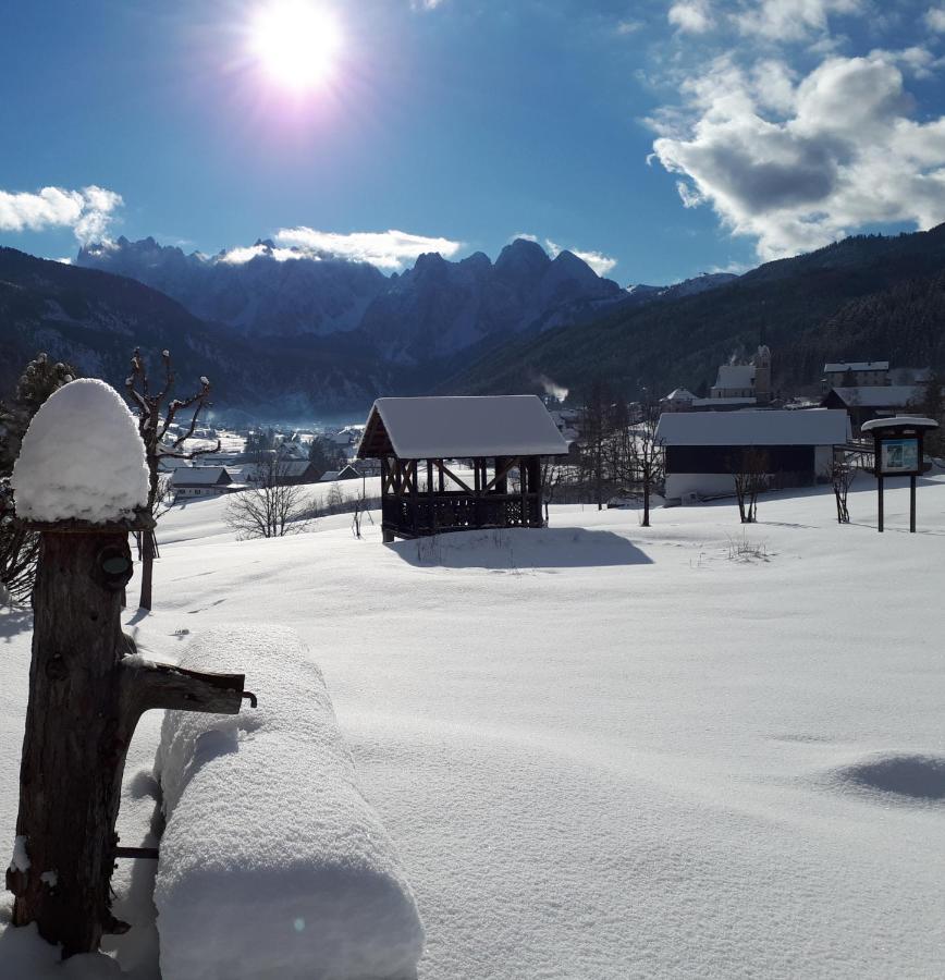 Transylvania Villa & Spa Gosau Exterior photo