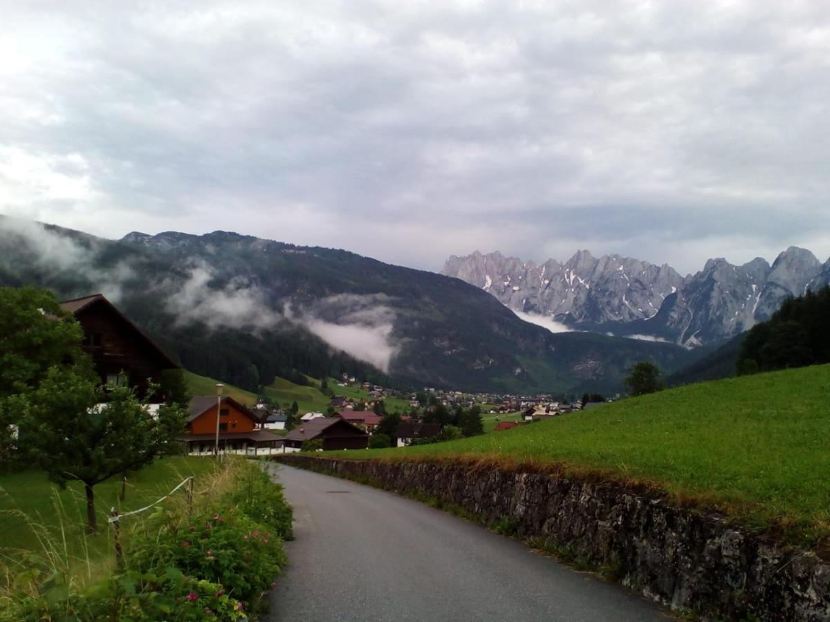 Transylvania Villa & Spa Gosau Exterior photo